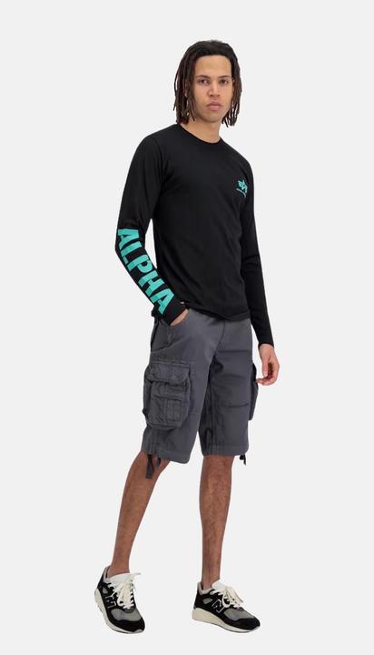 Actual product image Alpha Industries Jet Shorts - 81739 (Frequency band 38 (2600 MHz))