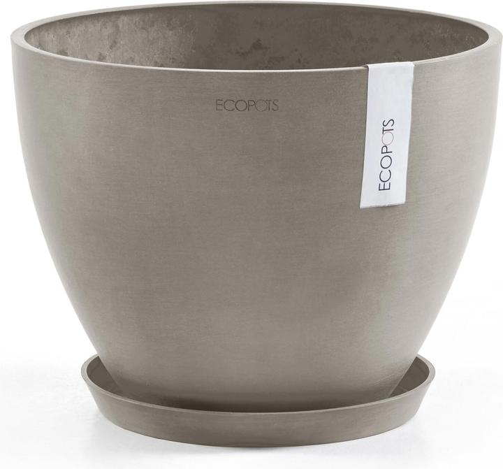 Immagine prodotto Ecopots Saucer Rund 21