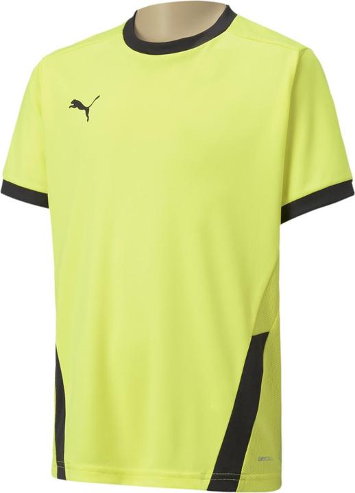 Immagine prodotto Puma Maglia teamGOAL 23 jr-704160 (164)