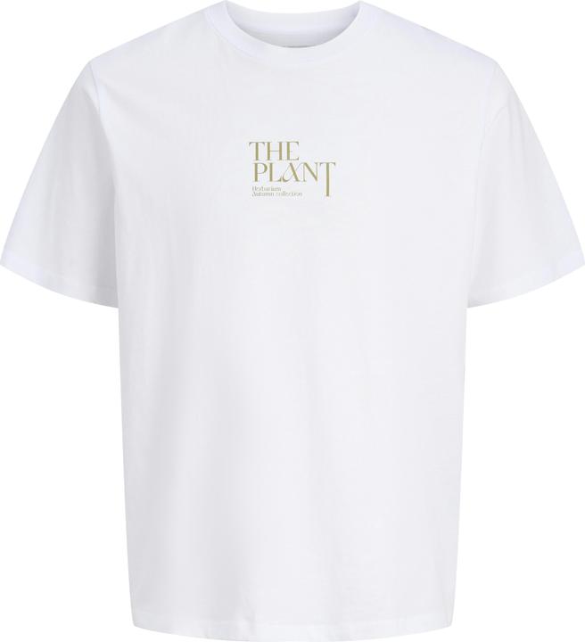 Jack & Jones Jorbradley Herbarium Tee Ss C.N Stmss25