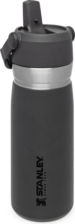 Stanley 1913 IceFlow (0.65 l)