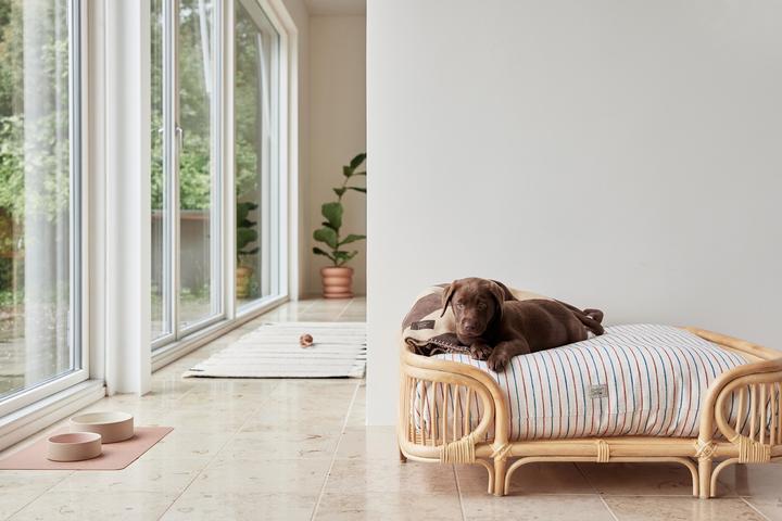 Produktbild Oyoy Otto (Hund)