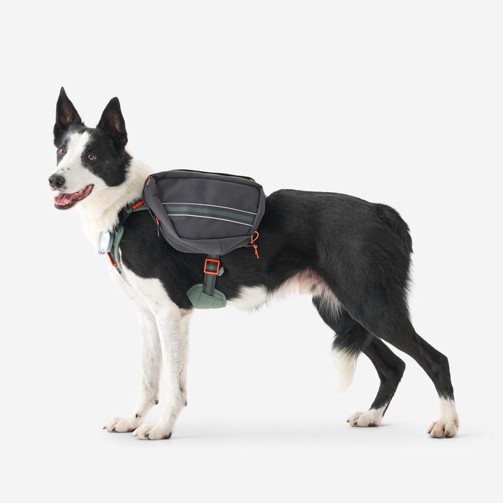 Actual product image Caperlan Hundegeschirr Wandern (S, Dog, Dog sport)