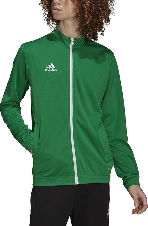 Actual product image adidas Entrada 22 men's training jacket (XXL)