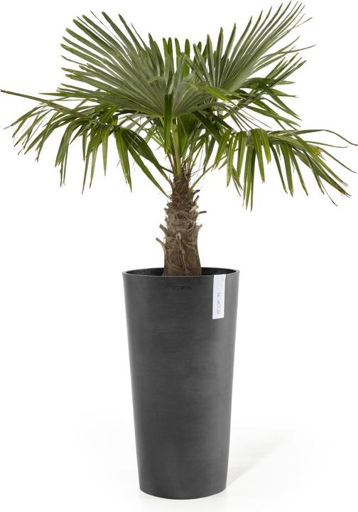 Produktbild Ecopots Amsterdam High (41 cm)