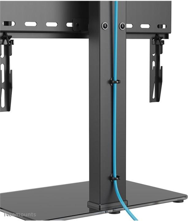 Image du produit Neomounts TV Desk Stand (base) (Pied de sol)