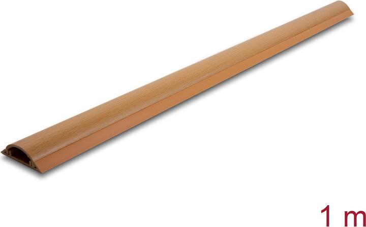 Delock Kabelkanal (Kabelkanal, 100 cm)