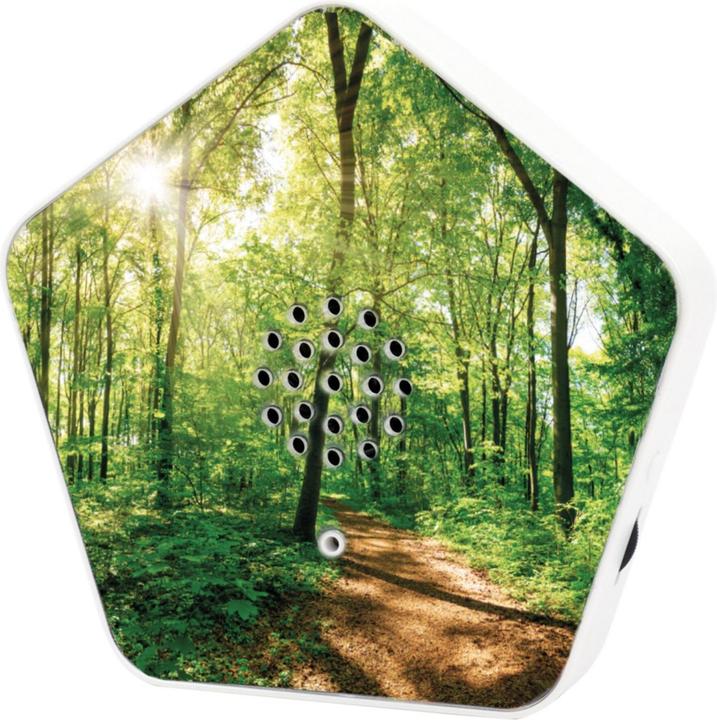 Actual product image Olympia Olymp Nature BOX