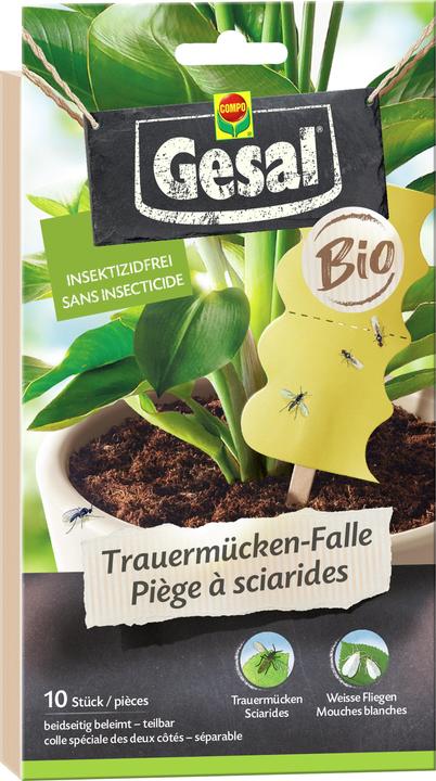 Gesal BIO Trauermücken-Falle