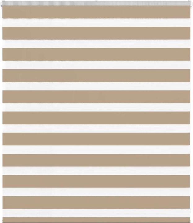 Sandbraun
