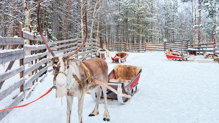 Actual product image Visit to Santa Claus
