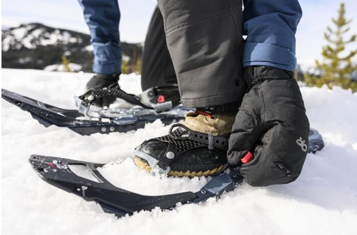 Image du produit Msr Revo Trail (25")