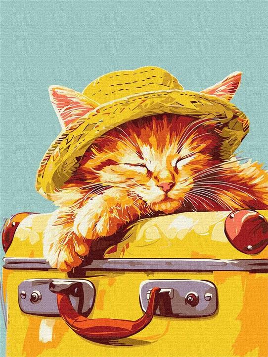 Immagine prodotto Ideyka Pittura con i numeri - Gatto che dorme 30 x 40 cm