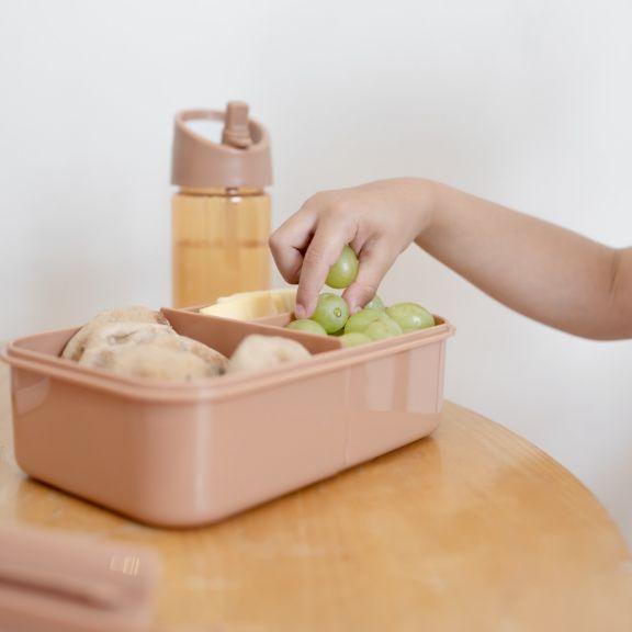 Actual product image 3 Sprouts Lunch Box, Rust - (IBBSRT)