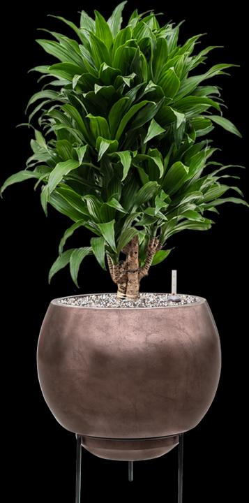 Produktbild Baq Design Metallic Silver Leaf Globe Elevated (34 cm)