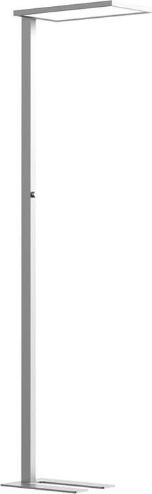 Contini Prolux (7500 lm)