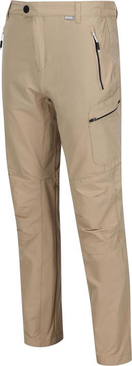 Actual product image Regatta Mens Highton Hiking Trousers (Frequency band 38 (2600 MHz))