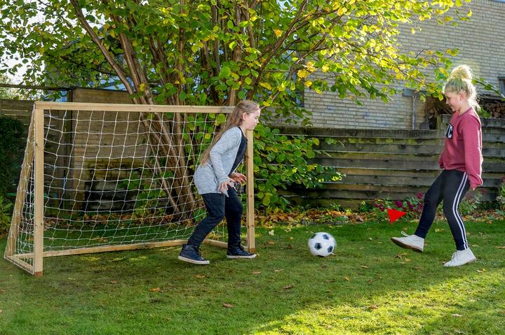 Actual product image Euro Play Homegoal Classic Junior