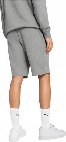 Actual product image Puma ESS No. 1 Logo Shorts 10" (M)