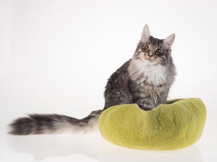 Produktbild Kivikis Katzenhöhle (Katze)