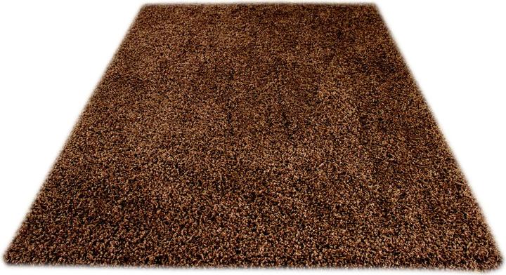 Produktbild Pergamon Hochflor Langflor Teppich Aloha (80 x 150 cm)