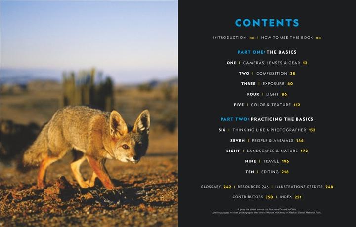 Produktbild National Geographic Foto Basics (Deutsch, Joel Sartore, 2020)