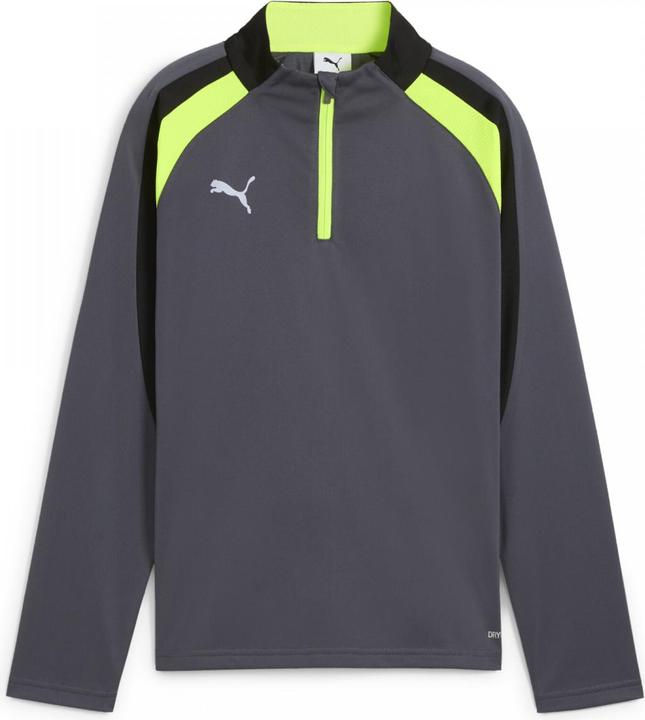 Actual product image Puma IndividualLIGA 1/4 Zip Top Jr (152)