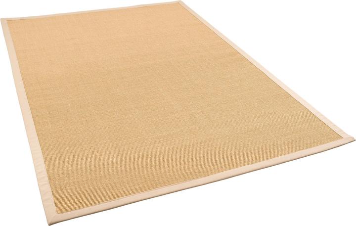 Actual product image Pergamon Sisal carpet Natura Classic with border (120 x 170 cm)