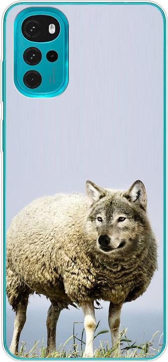 Wolf in sheep's clothing