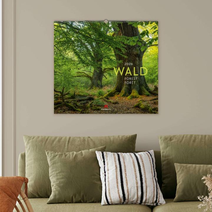 Immagine prodotto Wald Kalender 2026 (54 x 48 cm, Copertina rigida, Tedesco, Francese, Inglese)