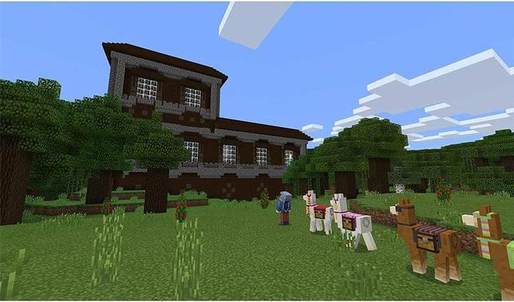 Immagine prodotto Nintendo Minecraft (Switch, Multilingue)