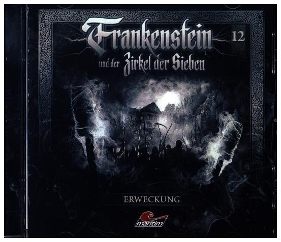 Produktbild Frankenstein 12 - Erweckung (Till Hagen, Kaspar Eichel, Christian Dabeler, Christian Rudolf, Milton Welsh, Lutz Mackensy, Dietmar Wunder, Gabrielle Pietermann, Victor Frankenstein, Michael Pan, Yvonne Greitzke, Sascha Rotermund, Douglas Welbat, Torsten Michaelis)