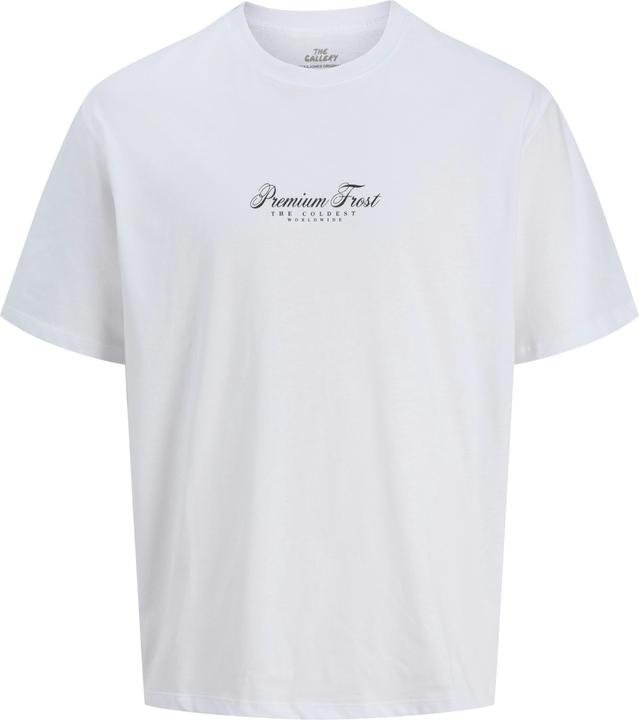 Produktbild Jack & Jones Plus Size T-shirt T-shirt (4XL)