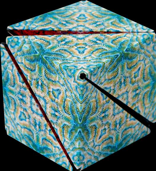 Produktbild Shashibo Cube Undersea (Multilingual)