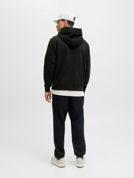 Actual product image Jack & Jones Jjesoho Sweat Zip Hood Noos (L)