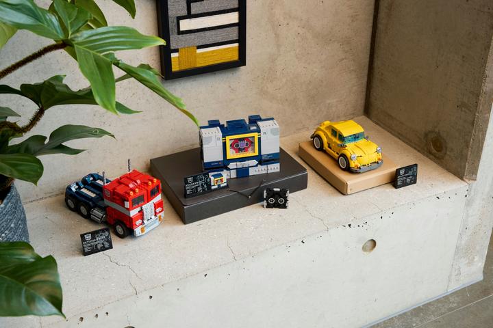 Actual product image LEGO 10358 Confidential (10358, LEGO Icons)
