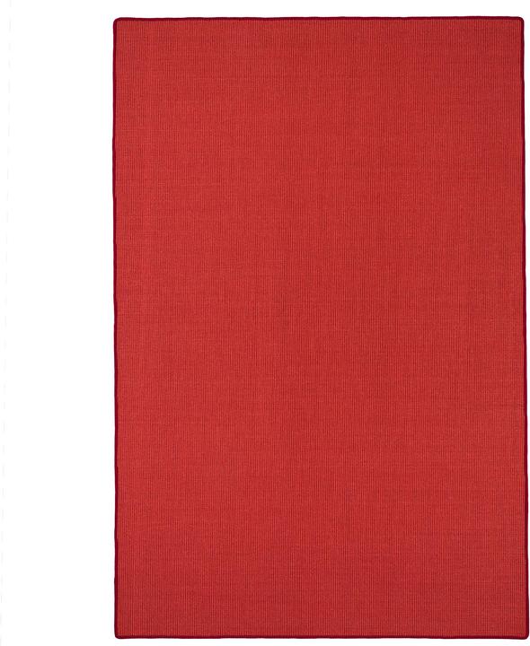 Actual product image Snapstyle Sisal nature carpet classic - 9 colors in 17 sizes (100 x 400 cm)