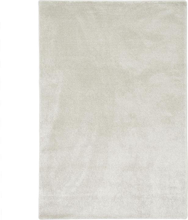 Produktbild Snapstyle Hochflor Luxus Velours Teppich Touch (80 x 400 cm)