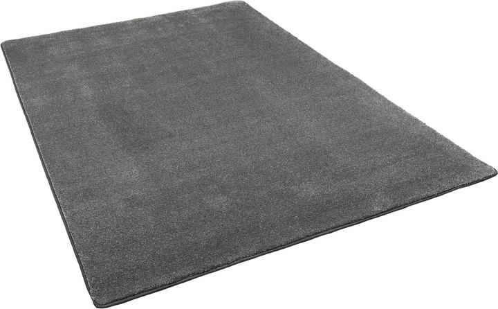 Produktbild Snapstyle Hochflor Luxus Velours Teppich Touch (100 x 300 cm)