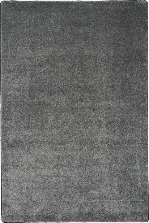 Produktbild Snapstyle Hochflor Luxus Velours Teppich Touch (100 x 300 cm)