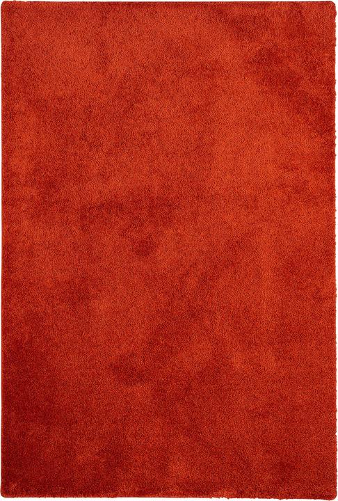 Actual product image Snapstyle Shaggy carpet Palace (100 x 300 cm)