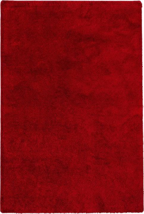 Image du produit Snapstyle Palais du tapis à poils longs (200 x 300 cm)