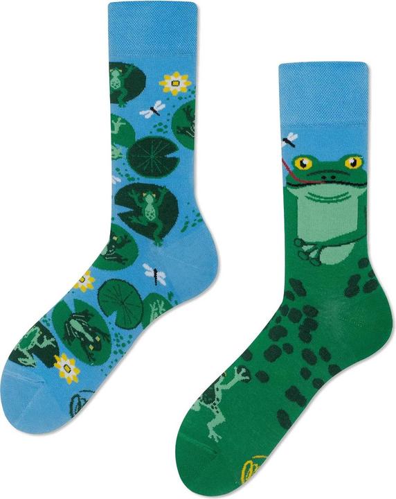 Many Mornings Froggy Frog (Einzelpack, 39 - 42)