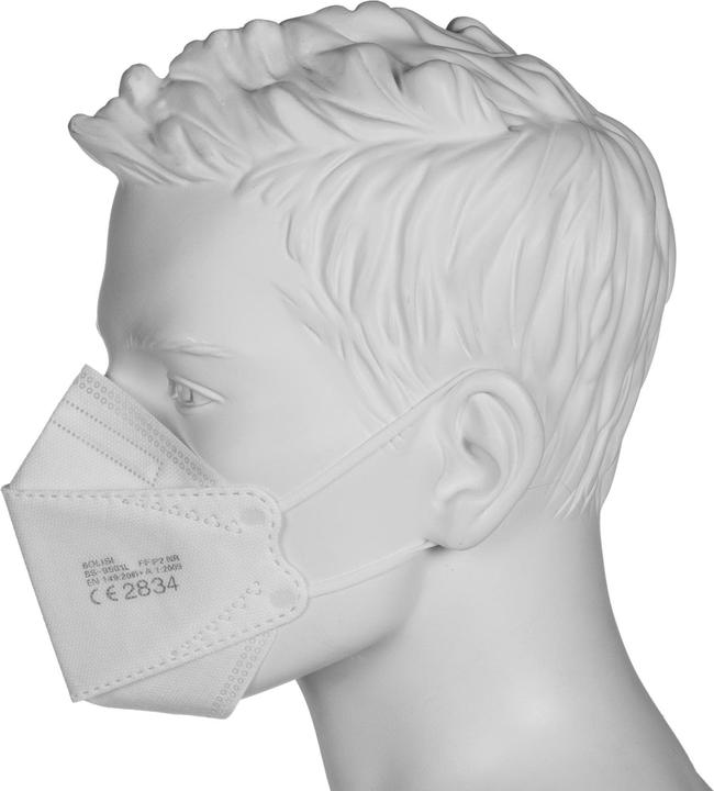 Actual product image Bolisi FFP2 (FFP2, 10 x)