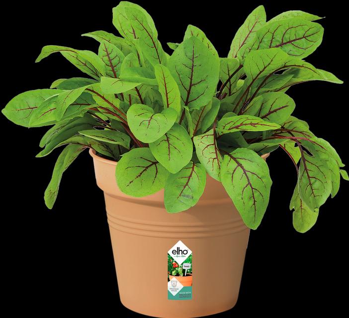 Produktbild Elho Green Basic (13 cm)