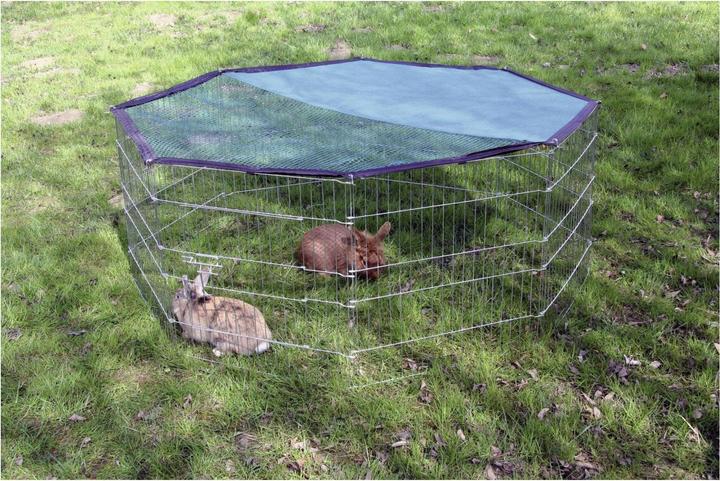 Actual product image Kerbl Outdoor enclosure