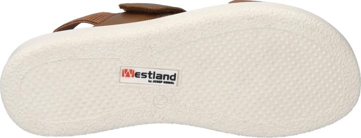 Actual product image Westland 25407-410 (38)