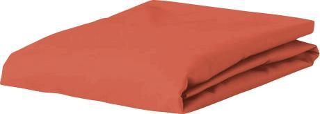Produktbild Esprit Uni Jersey (140-160 x 200 cm)