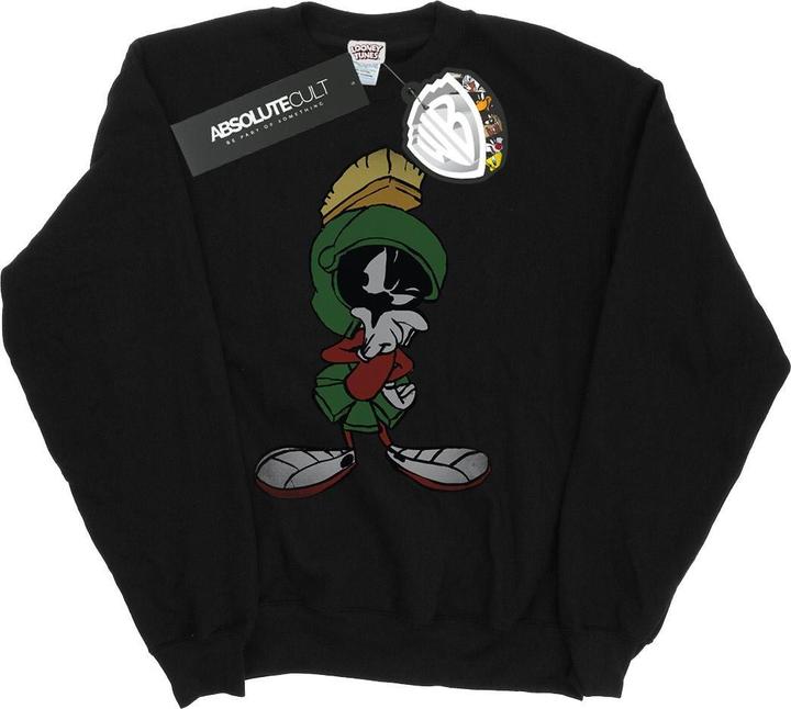 Looney Tunes Sweatshirt (M)