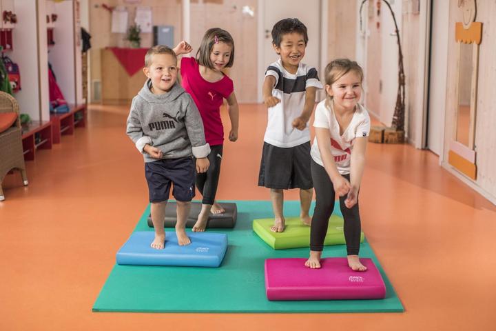 Actual product image Airex Balance Pad Elite